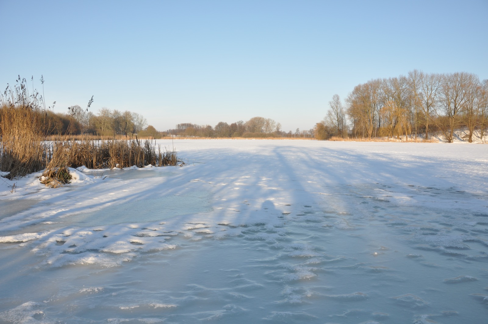 Herrenteich_20100126_14-58-48_DSC_1543.jpg