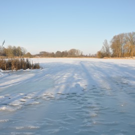 Herrenteich_20100126_14-58-48_DSC_1543.jpg