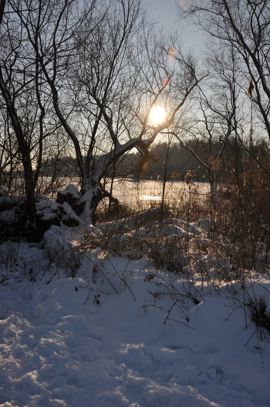 Herrenteich_20100126_15-03-55_DSC_1547.jpg
