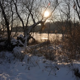 Herrenteich_20100126_15-03-55_DSC_1547.jpg