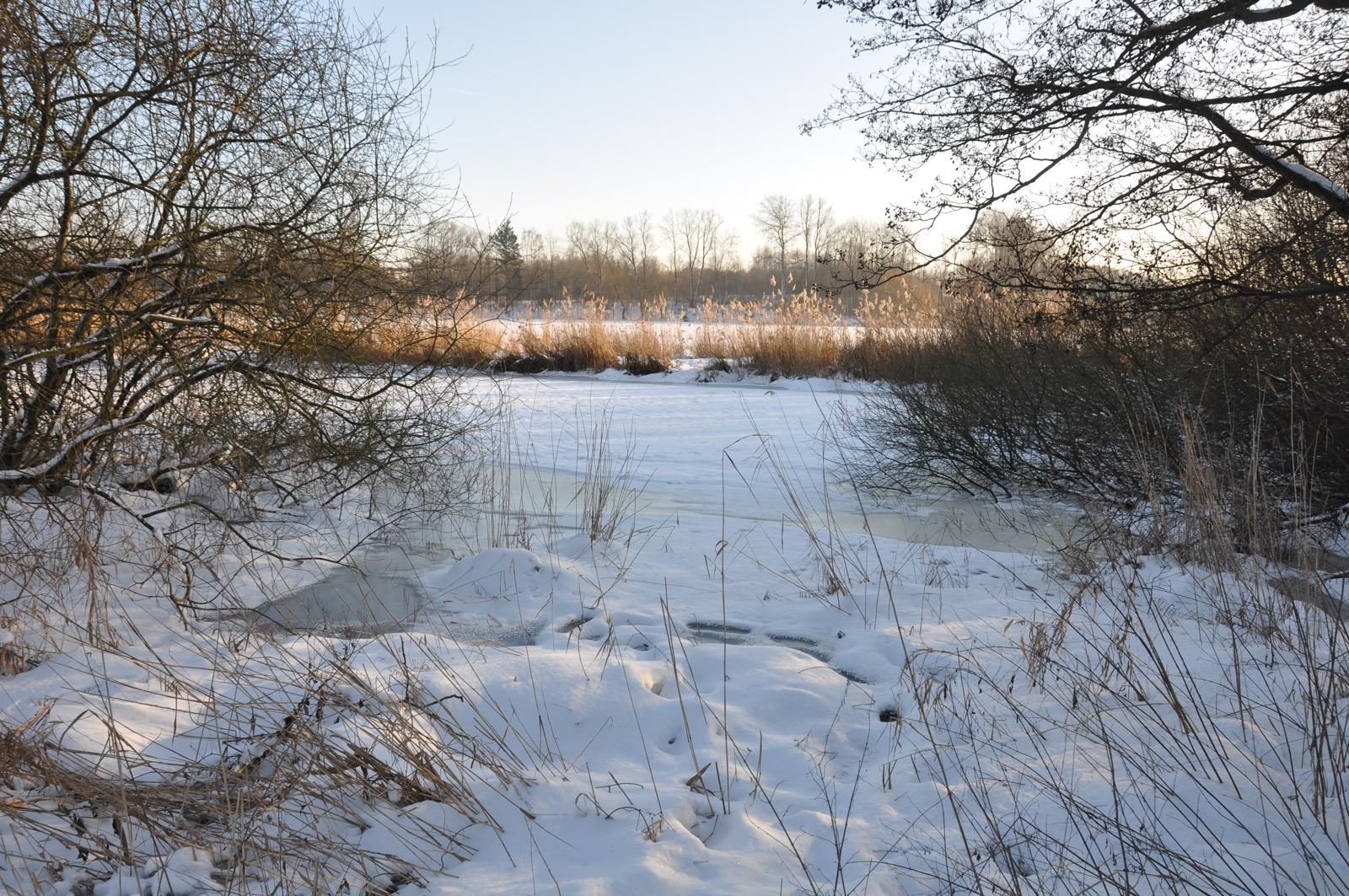 Herrenteich_20100126_15-16-38_DSC_1558.jpg