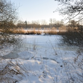 Herrenteich_20100126_15-16-38_DSC_1558.jpg