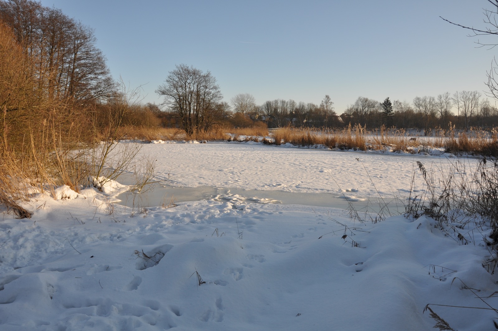 Herrenteich_20100126_15-17-49_DSC_1560.jpg