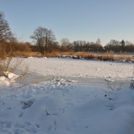 Herrenteich_20100126_15-17-49_DSC_1560.jpg