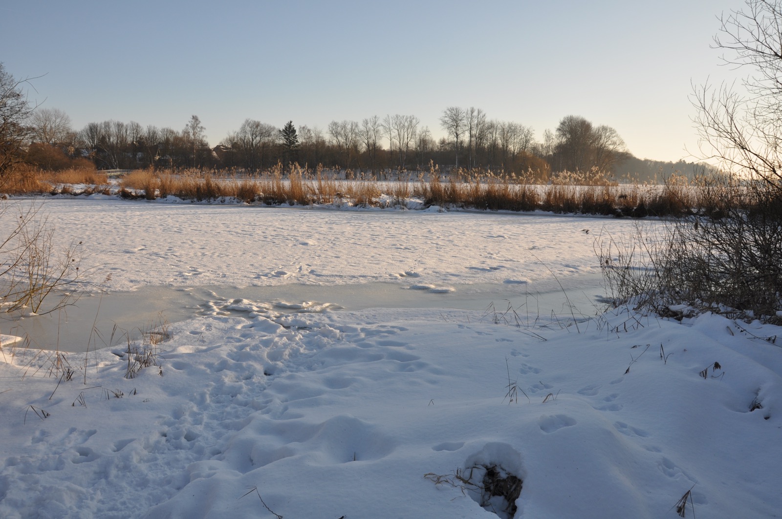 Herrenteich_20100126_15-18-08_DSC_1561.jpg