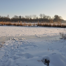 Herrenteich_20100126_15-18-08_DSC_1561.jpg
