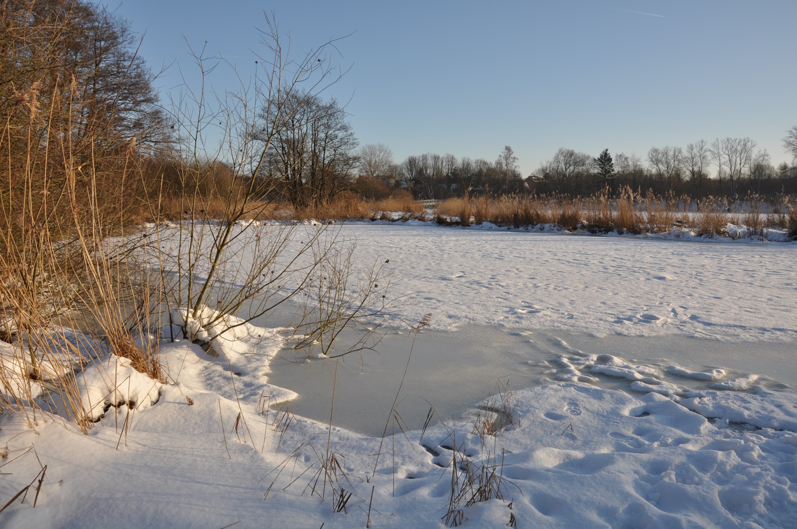 Herrenteich_20100126_15-18-45_DSC_1565.jpg