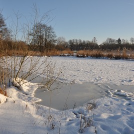Herrenteich_20100126_15-18-45_DSC_1565.jpg