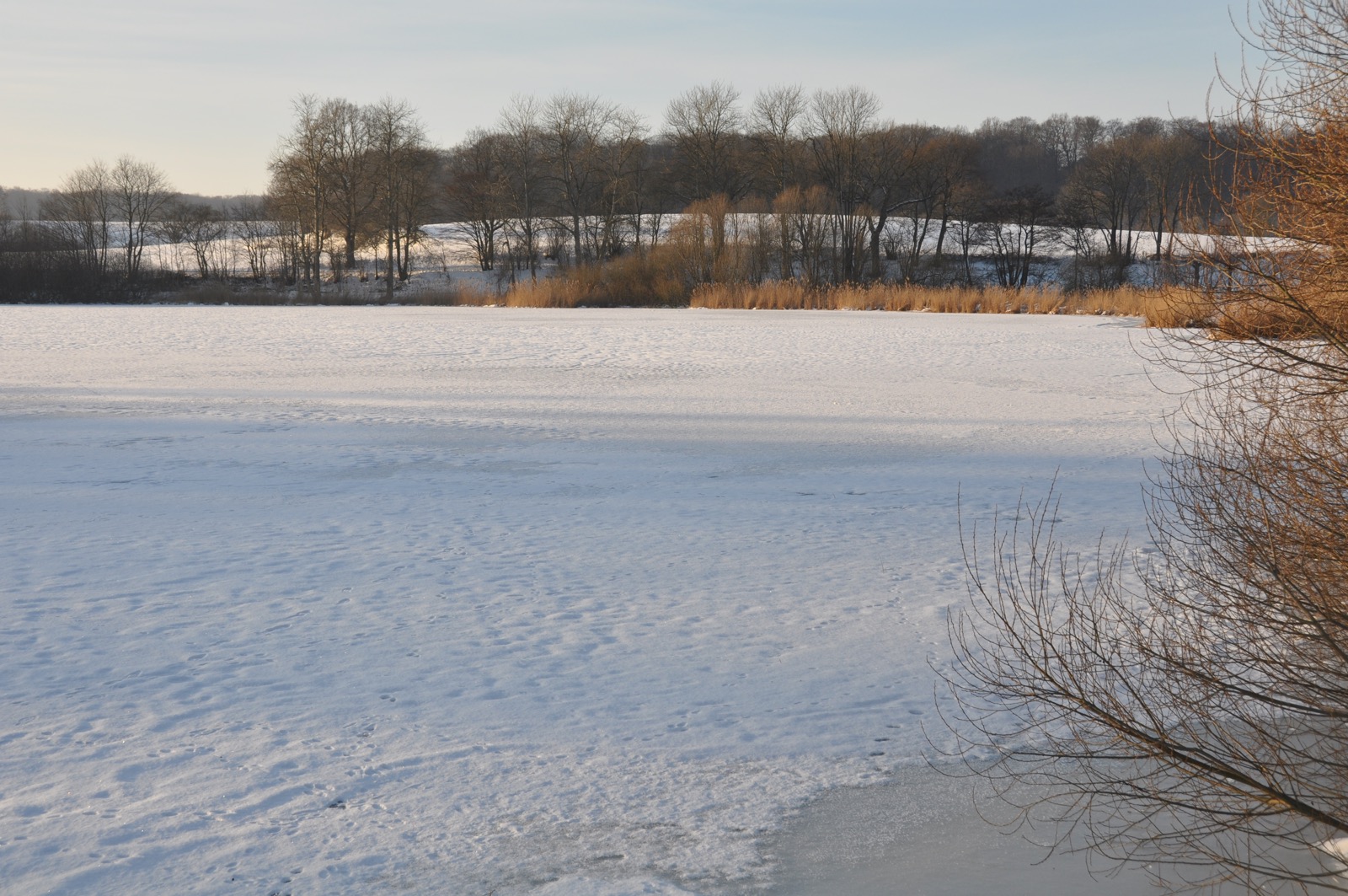 Herrenteich_20100126_15-26-33_DSC_1582.jpg