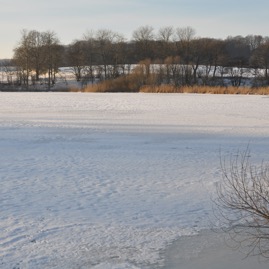 Herrenteich_20100126_15-26-33_DSC_1582.jpg