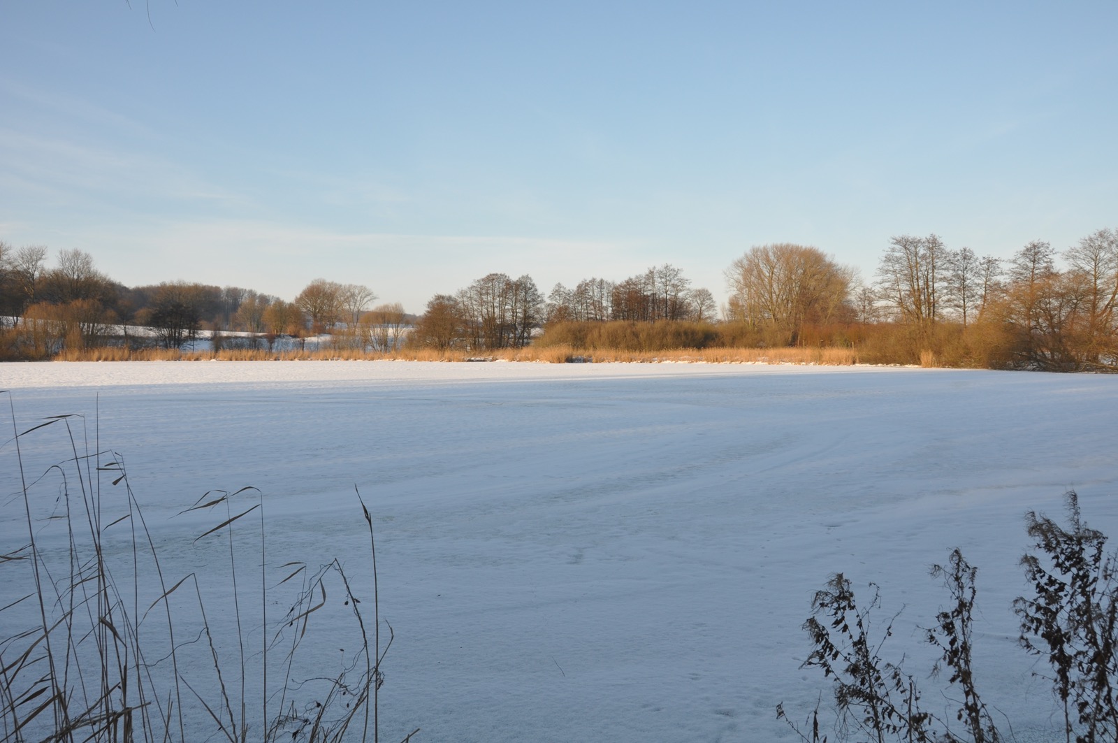 Herrenteich_20100126_15-29-15_DSC_1598.jpg