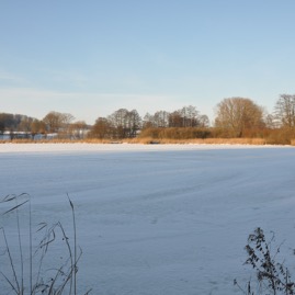 Herrenteich_20100126_15-29-15_DSC_1598.jpg
