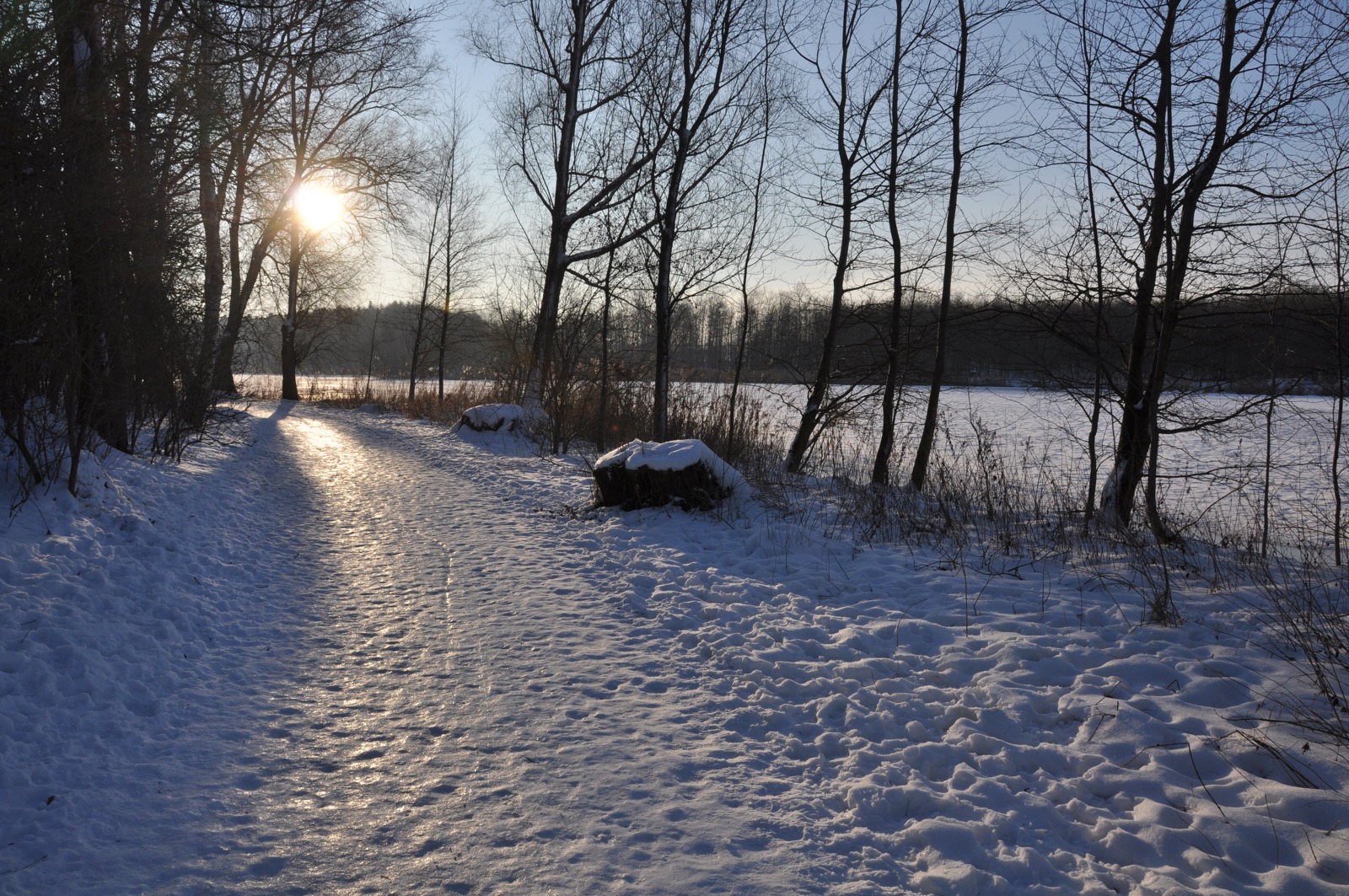Herrenteich_20100126_15-30-09_DSC_1599.jpg