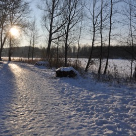 Herrenteich_20100126_15-30-09_DSC_1599.jpg