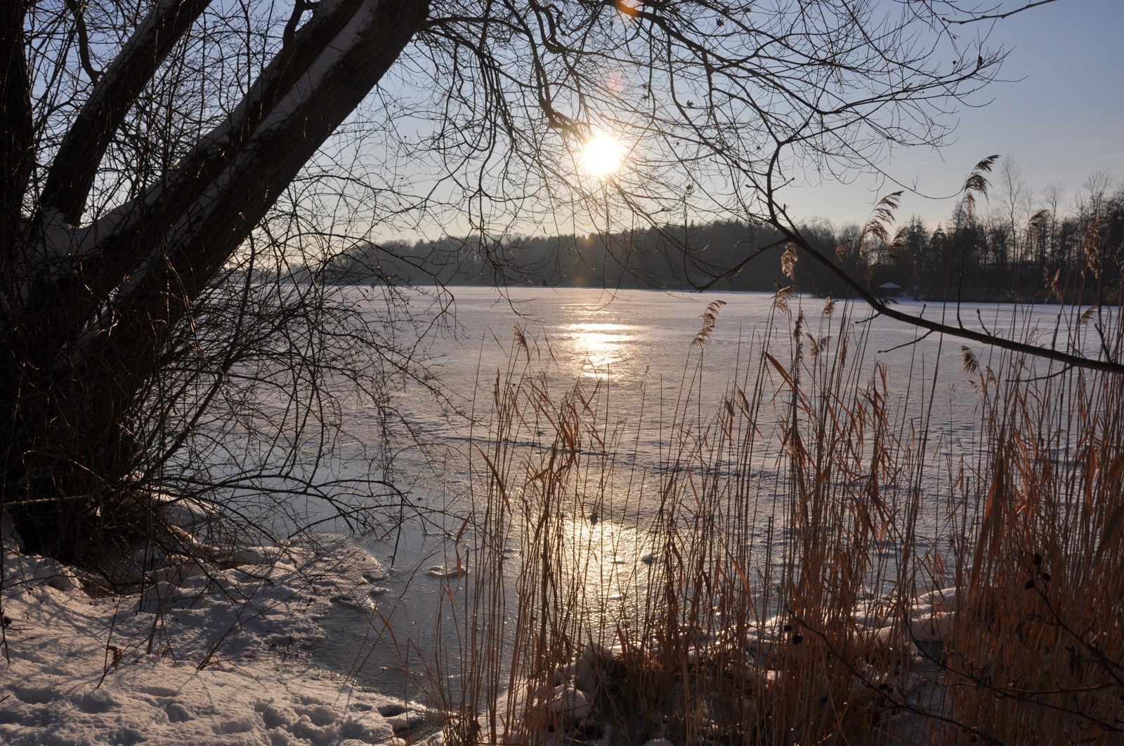 Herrenteich_20100126_15-31-17_DSC_1600.jpg