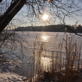 Herrenteich_20100126_15-31-17_DSC_1600.jpg
