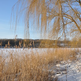 Herrenteich_20100126_15-32-36_DSC_1603.jpg