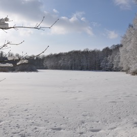 Winterwald_20100130_13-41-19_DSC_1628.jpg