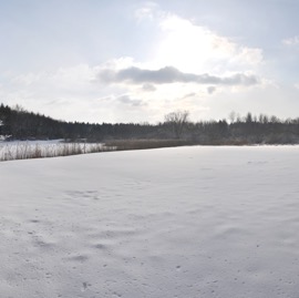 Panorama Winterwald.jpg