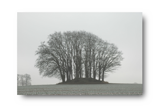 GrabauRS