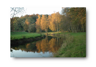 HerbstimpressionenRS