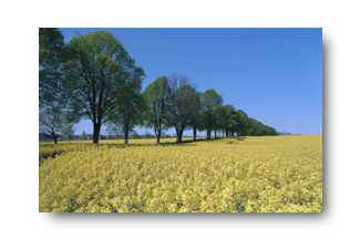 WegeWasserFelderRS