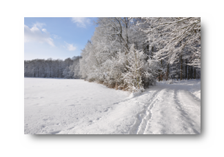 WinterRS